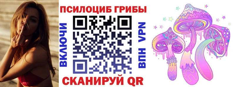 купить закладку  Лениногорск  Галлюциногенные грибы Cubensis 